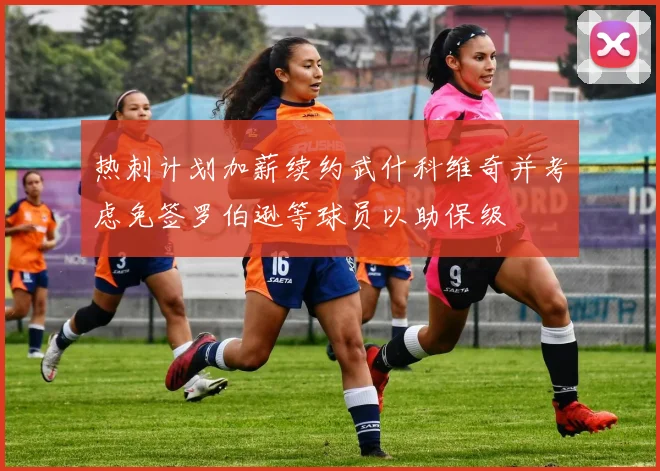 热刺计划加薪续约武什科维奇并考虑免签罗伯逊等球员以助保级