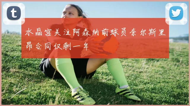 水晶宫关注阿森纳前球员奈尔斯里昂合同仅剩一年
