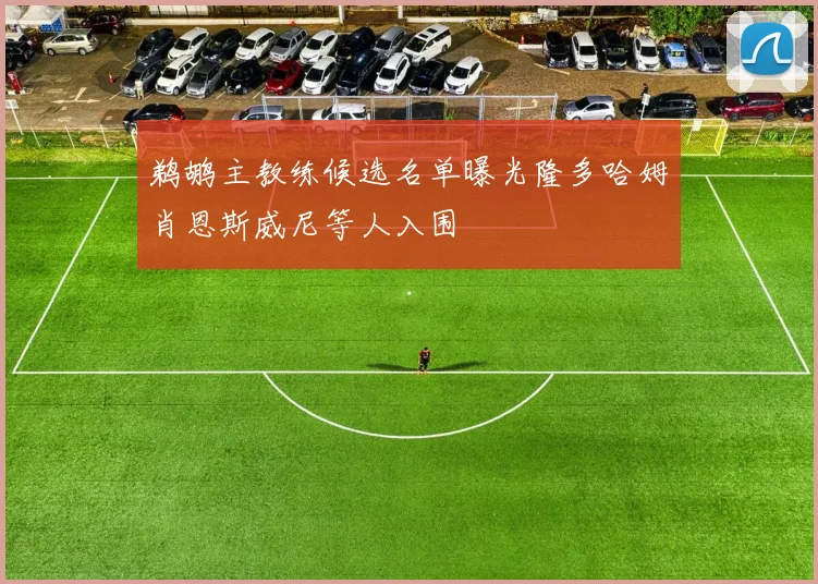 鹈鹕主教练候选名单曝光隆多哈姆肖恩斯威尼等人入围